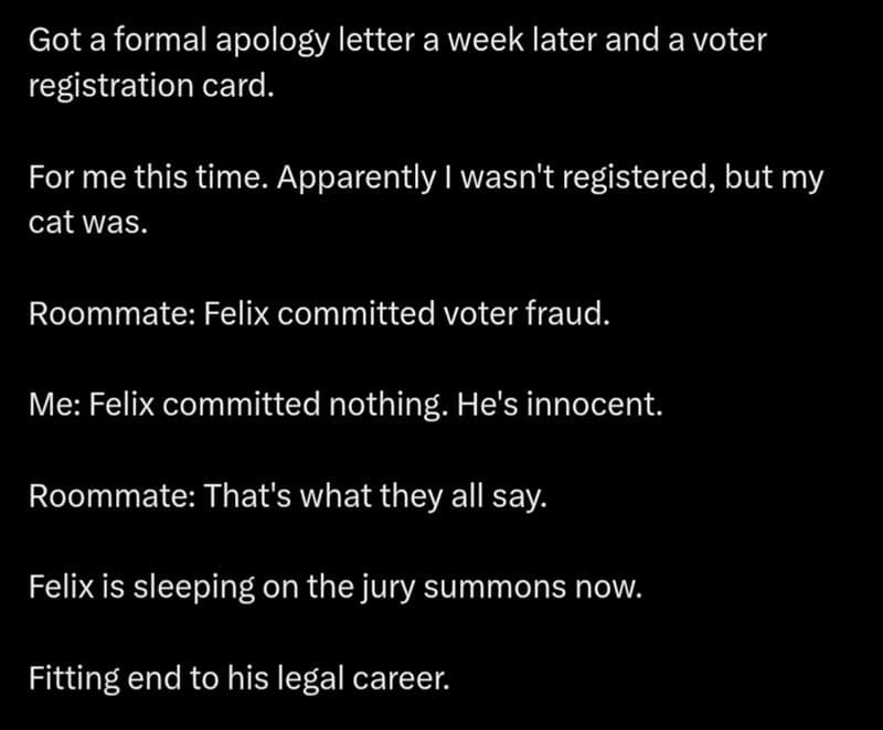 Cat involved in jury duty story with legal documents and dialogue.