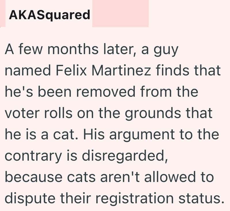 A cat sitting on a voter roll with a man in the background.