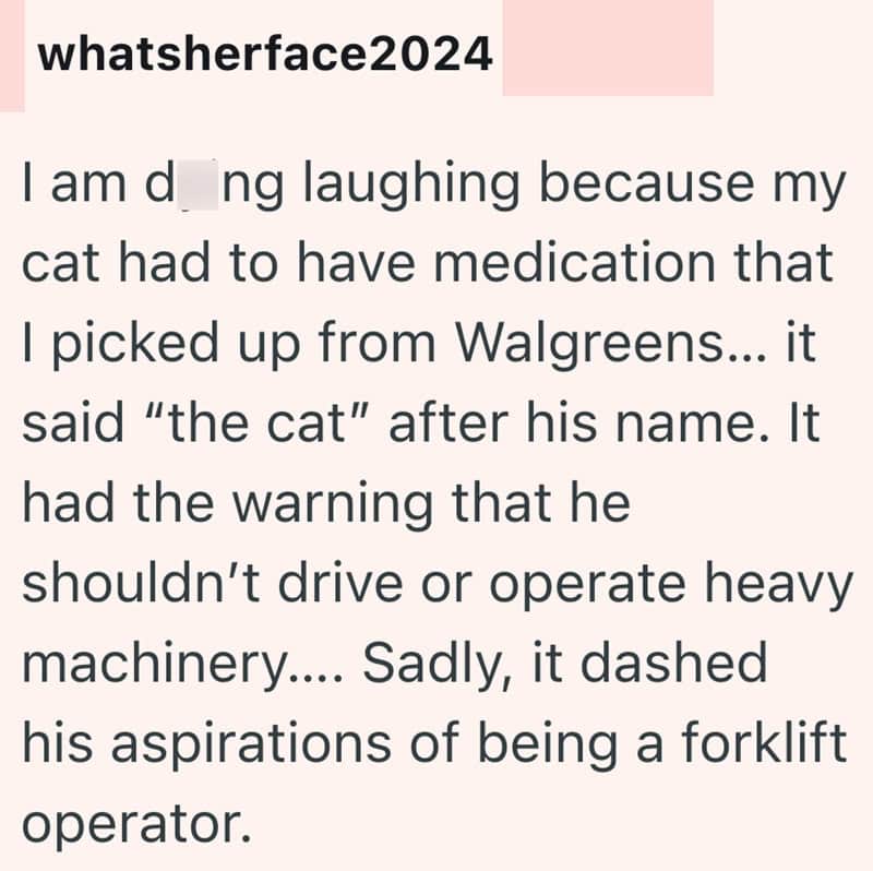 A humorous text about a cat with medication named 'the cat' after his name.