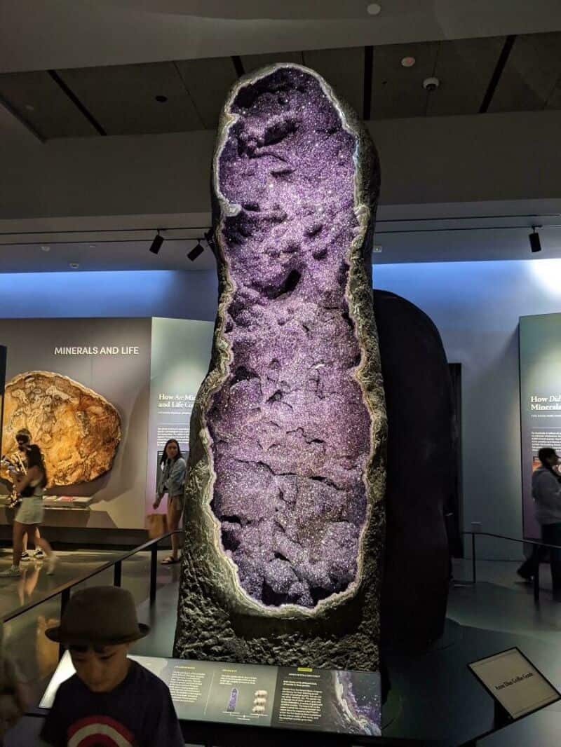 Large amethyst geode with purple crystals inside at a museum.