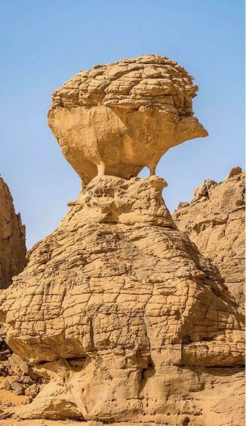 Unique rock formation resembling a large animal head in desert landscape.