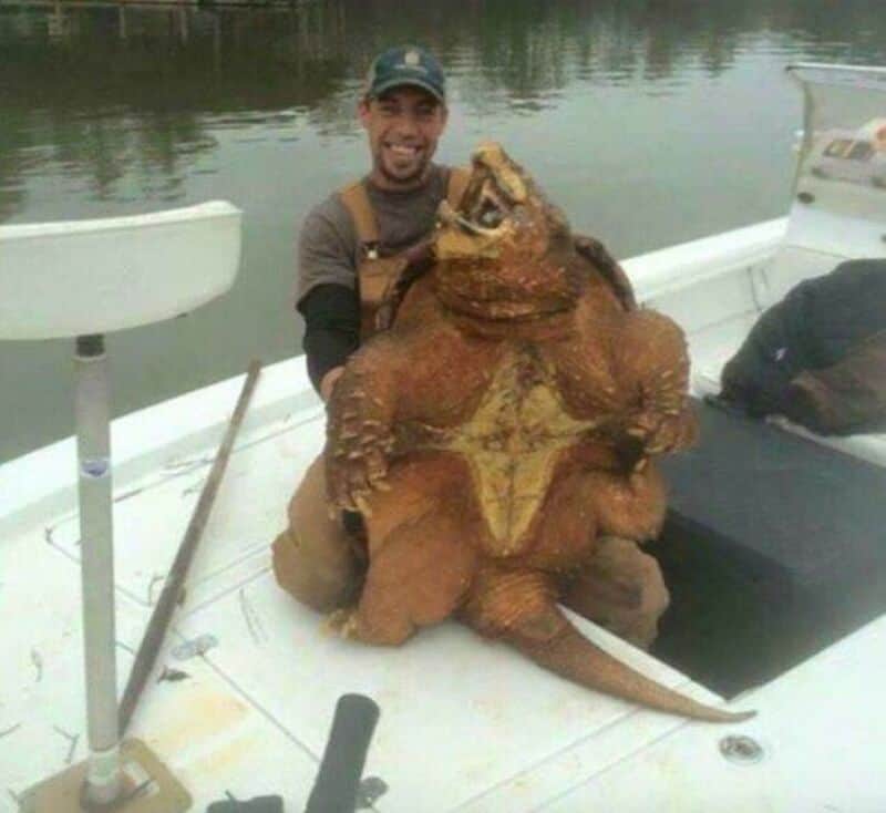 Man holding a giant crocodile on a boat, smiling.