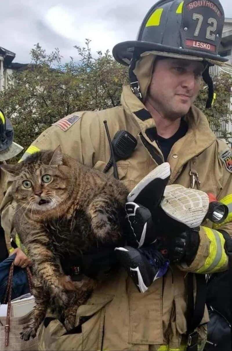 Firefighter holding a surprised cat during rescue operation.