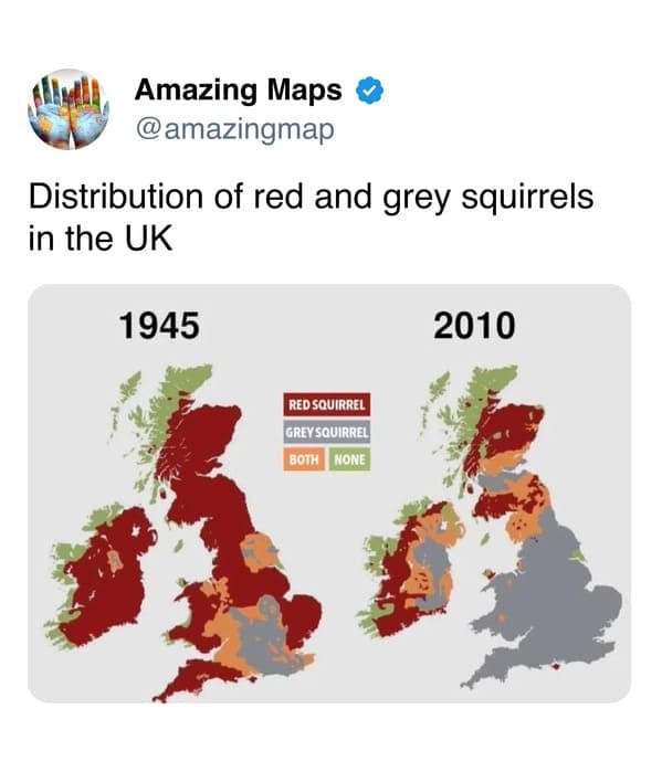 Distribution of red and grey squirrels in the UK in 1945 and 2010.