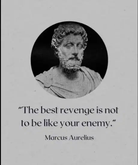 Quote by Marcus Aurelius: The best revenge is not to be like your enemy.