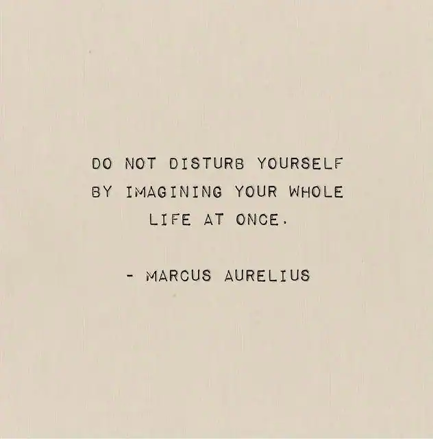 Do not disturb yourself by imagining your whole life at once. - Marcus Aurelius.