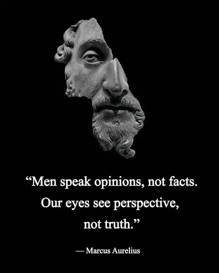 Ancient sculpture face with quote about opinions and perspective.