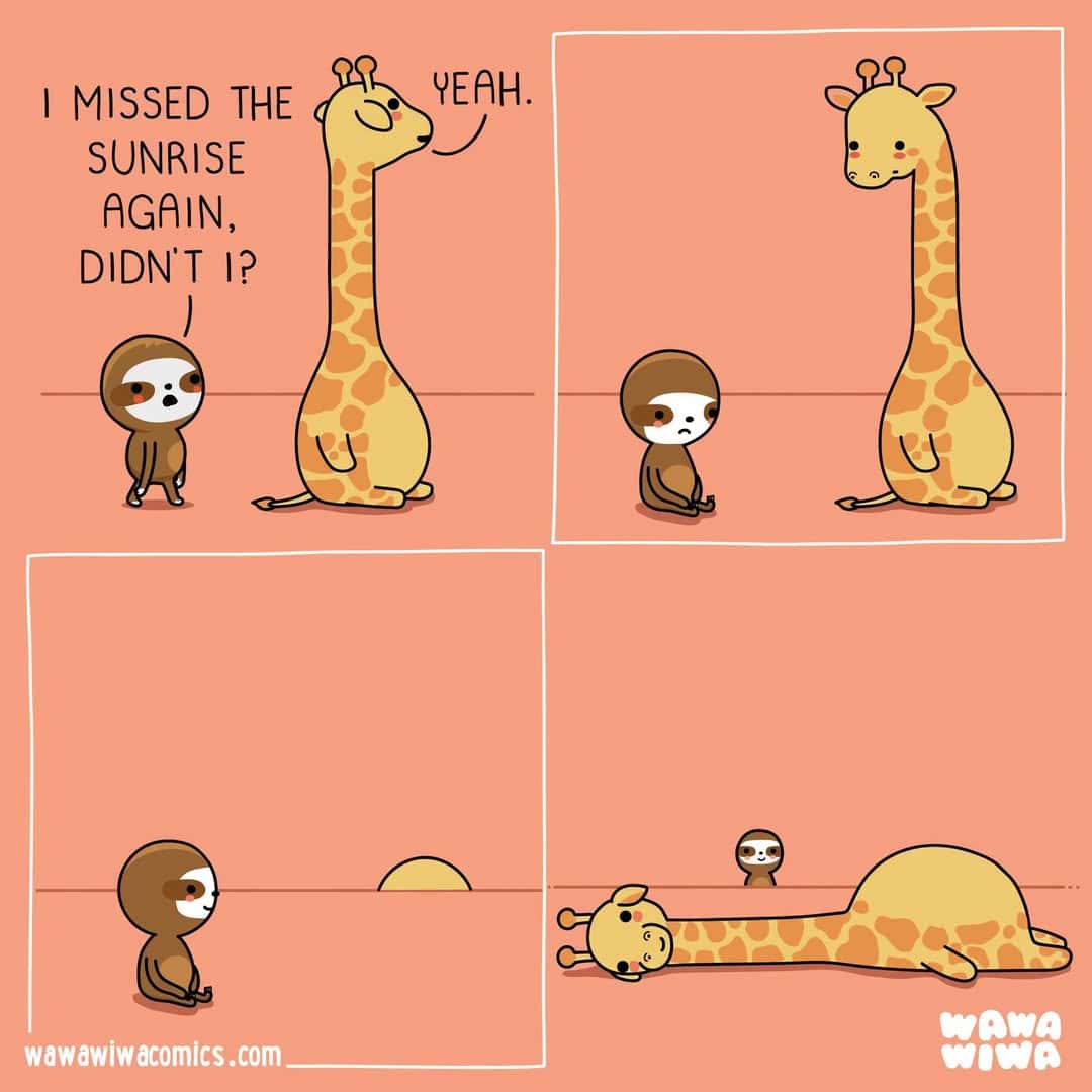 A comic strip with a small animal and a tall giraffe, discussing missing the sunrise.