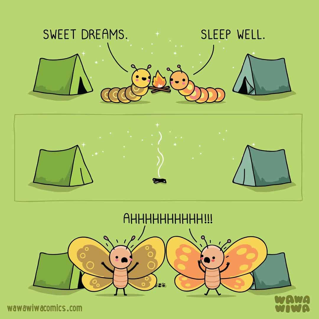 Two caterpillars with camping tents, one giving a toast, then turning into butterflies.