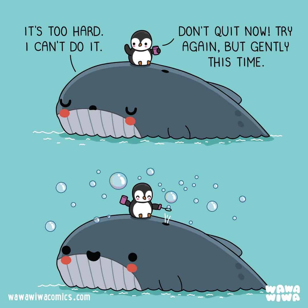 Penguin on whale with motivational speech about trying again.