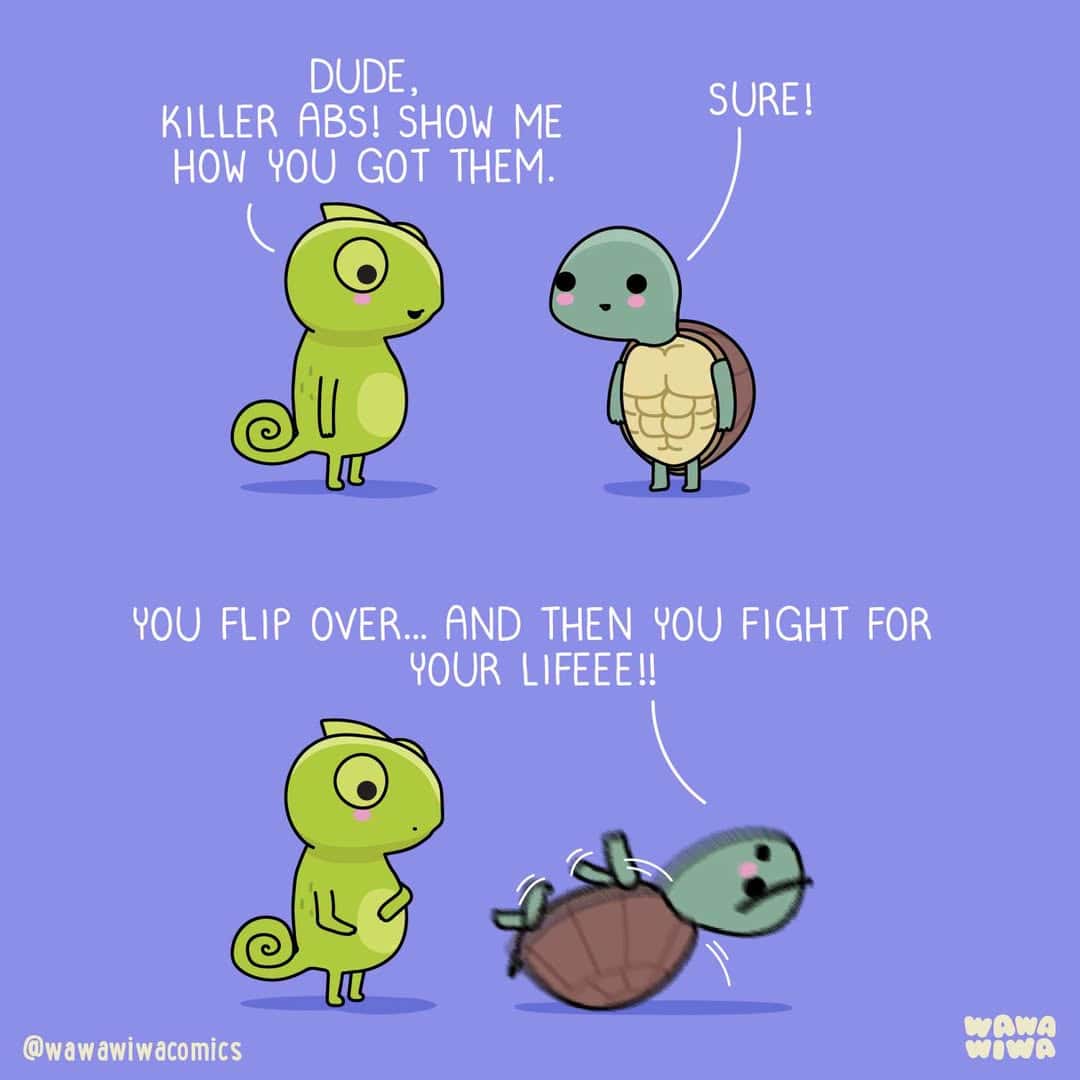 Cartoon chameleon and turtle discussing how to get killer abs.