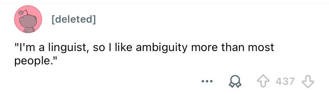 'I'm a linguist, so I like ambiguity more than most people.'.