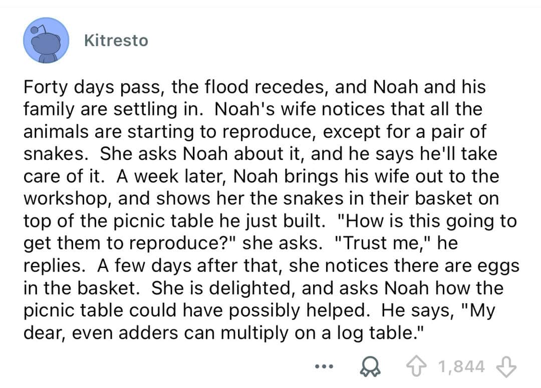 A story about Noah's family and animals, with snakes in a picnic basket.