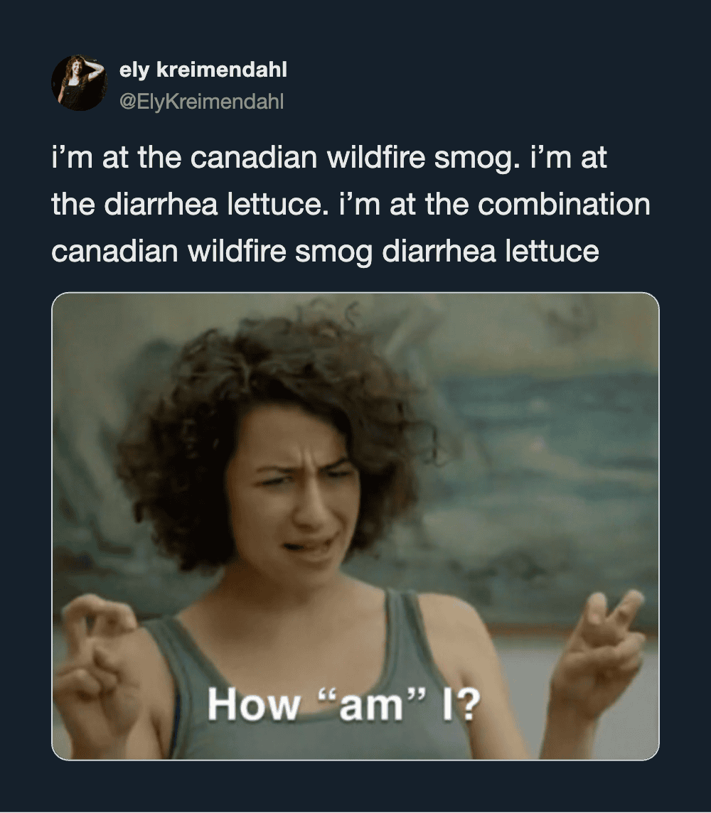 Ely Kreimendahl's tweet about wildfire smoke and diarrhea lettuce with a woman making a confused 'am.