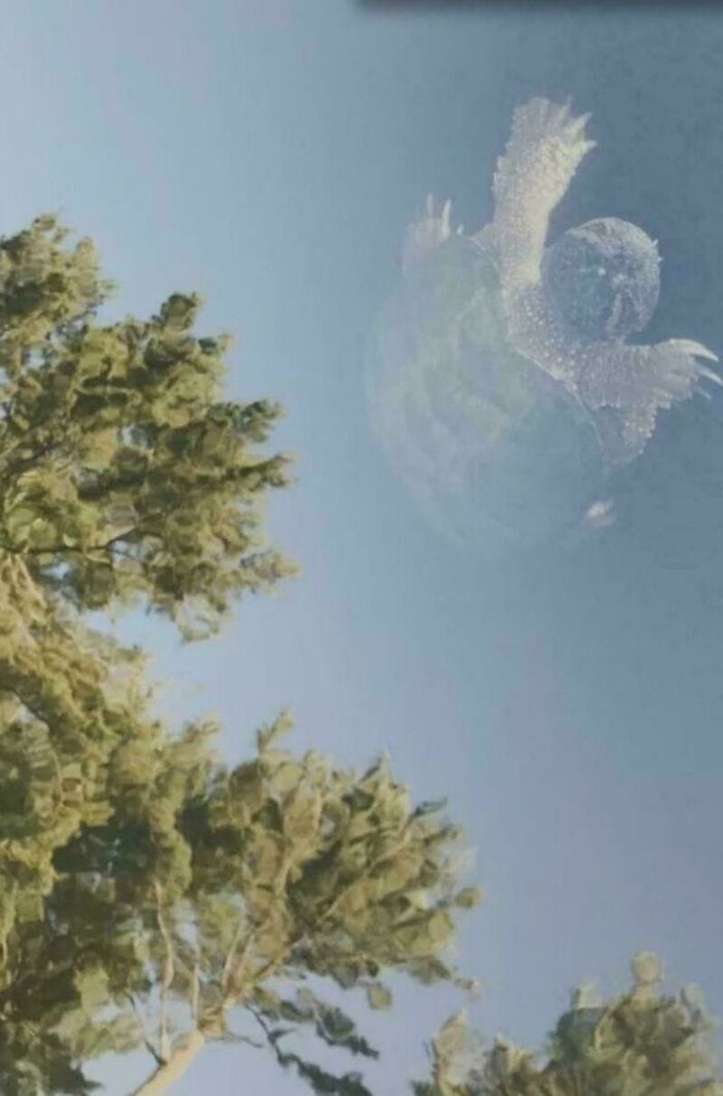 A person appears to be falling from the sky, but is actually a reflection in a glass window.