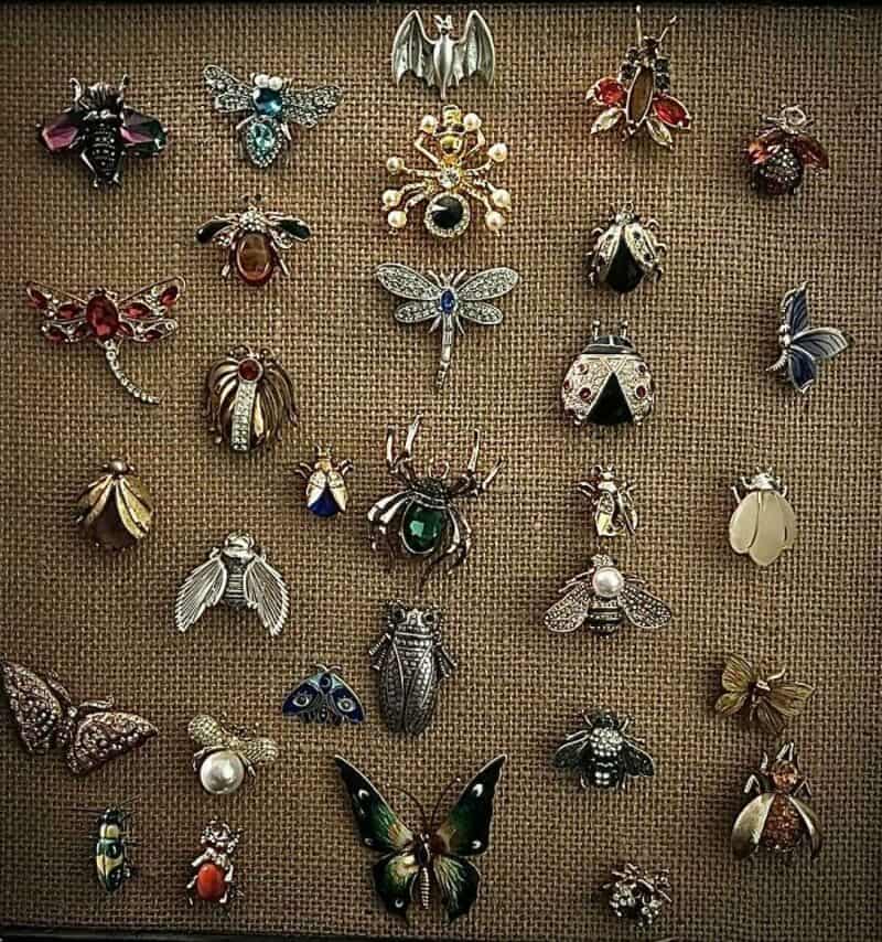 Collection of various insect and animal-shaped brooches and pins on a fabric background.