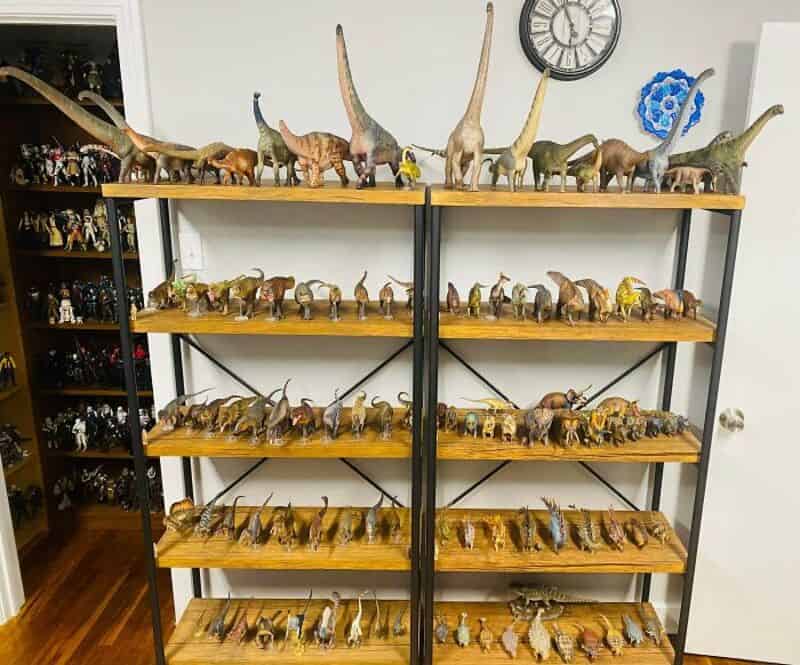 Collection of dinosaur and animal figurines on wooden shelves in a room.
