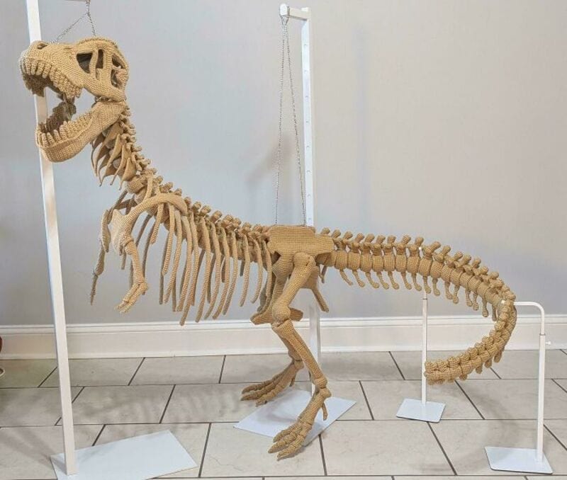 T-Rex skeleton made of yarn on display in a room.
