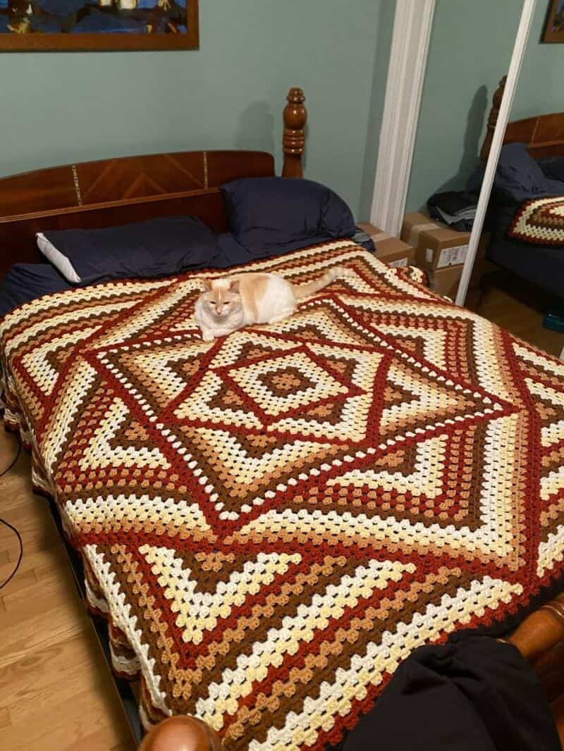 Cat lying on a crocheted bedspread in a bedroom.