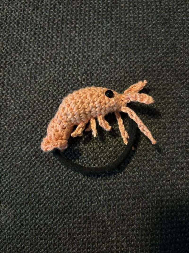 Crocheted beige shrimp hair tie on black elastic band on dark fabric.