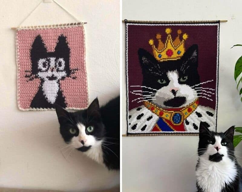 Two crochet wall hangings, one of a black and white cat and one of a crowned cat, with two real cats.