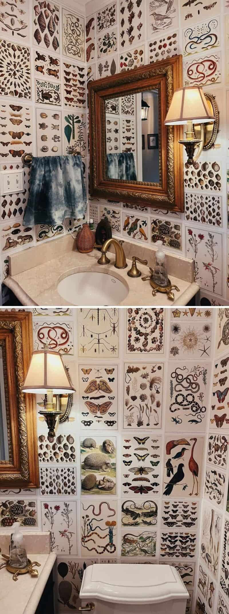 Bathroom wall decorated with various butterfly and insect illustrations.