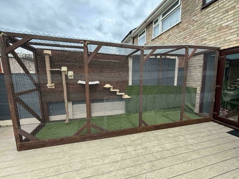 Large outdoor cat enclosure with wooden frame and mesh sides on patio.