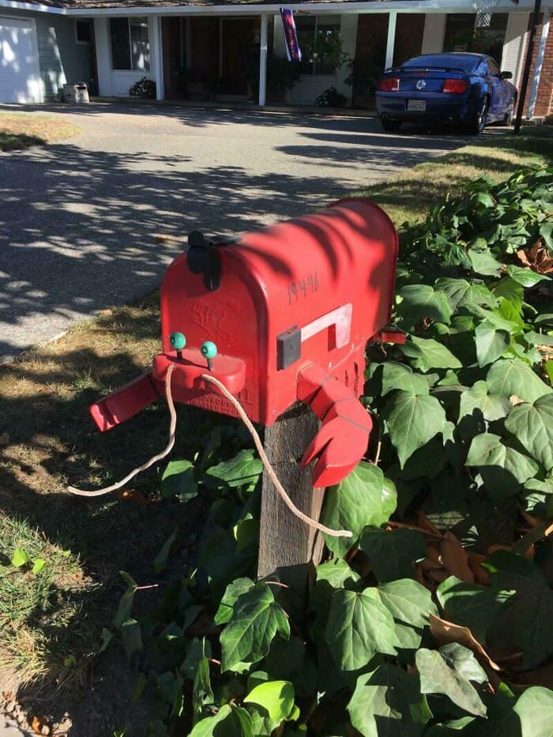 Red mailbox with a white stripe, surrounded by green ivy, in front of a house.