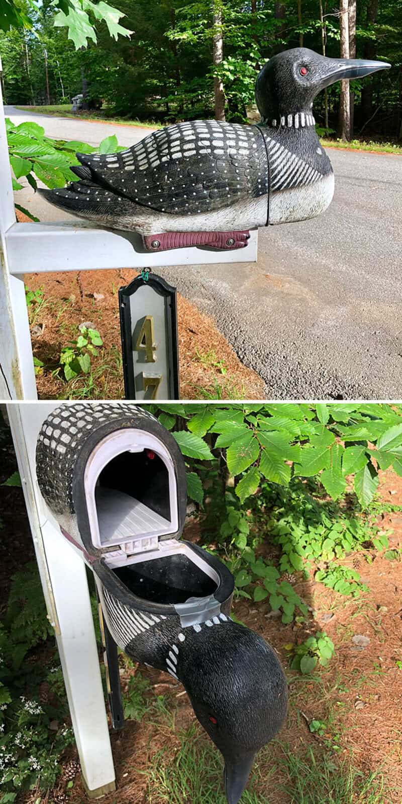 Mailbox shaped like a black and white bird, with a separate bird-shaped mailbox below.