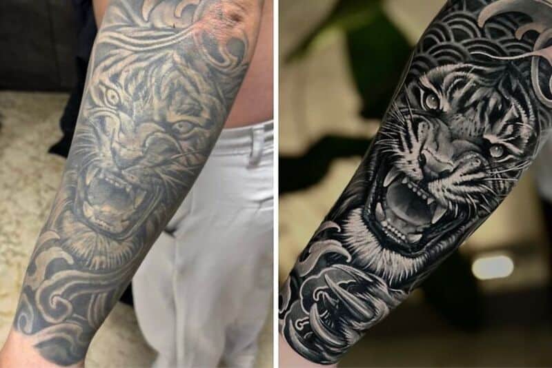 Comparison of a faded and a new black tiger tattoo on a forearm.