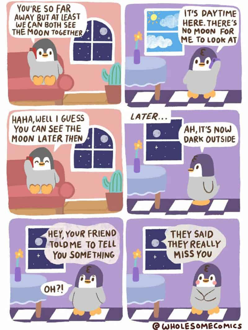 Penguin and owl chatting about the moon and night, with a window view.