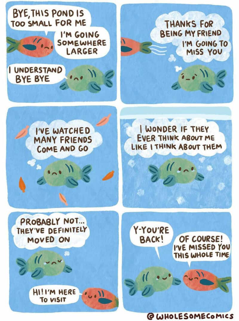 Comic with two fish talking about leaving a small pond, missing friends, and visiting each other.