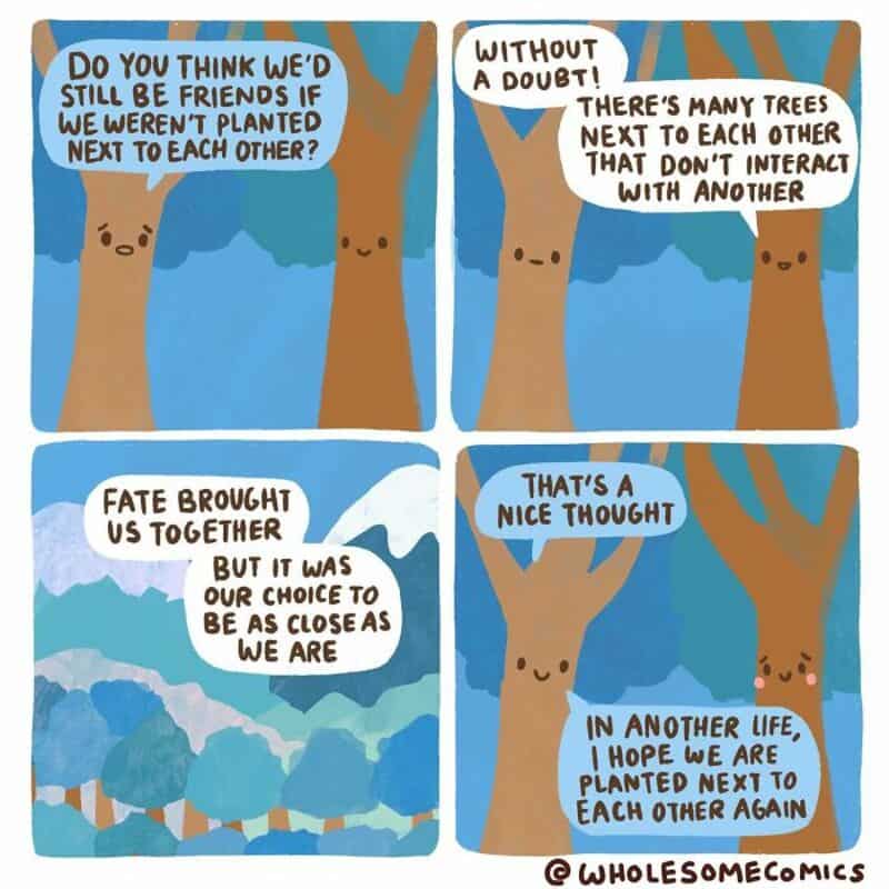 Two trees talking about friendship and being planted next to each other.