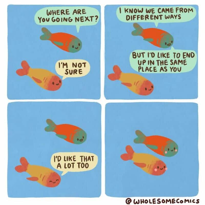 Two fish having a conversation about their origins and destinations.