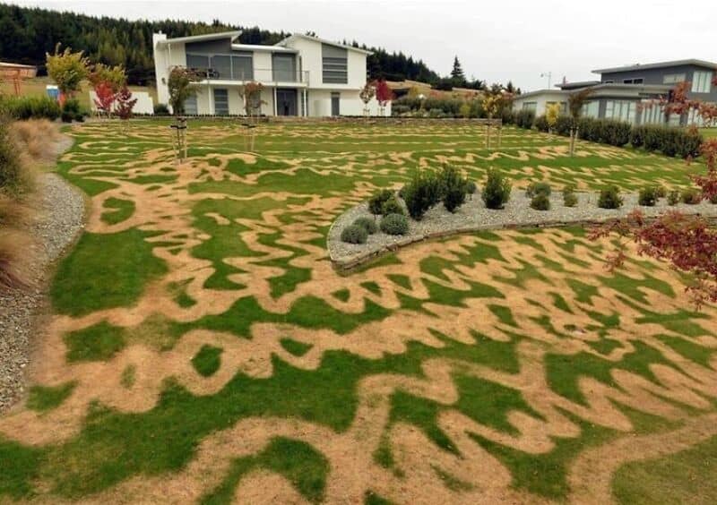 Lawn with words and phrases cut into the grass and dirt, with modern houses in the background.