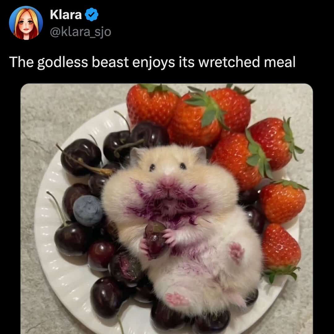 A hamster with a purple mouth surrounded by strawberries and cherries.