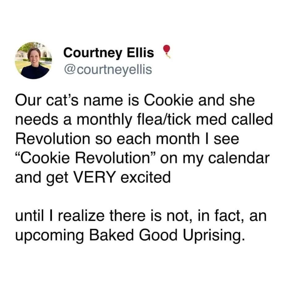 Tweet about cat named Cookie and her monthly flea tick medication called Revolution.