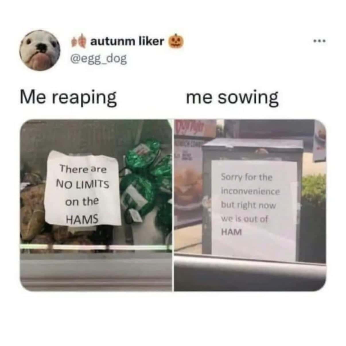 Comparison of two signs about ham, one says 'There are NO LIMITS on the HAM'S' and the other says 'S.
