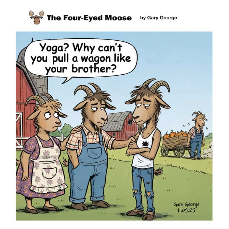 Three goats on a farm, one is asking about yoga, with a farmer in the background.