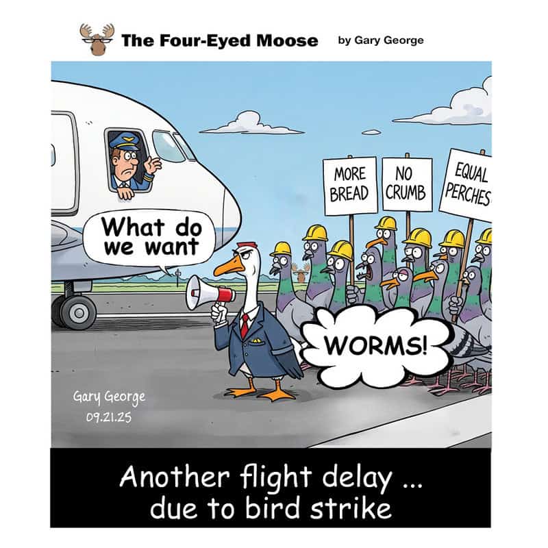 Birds protesting with signs, a pilot in a plane, and a duck with a megaphone.