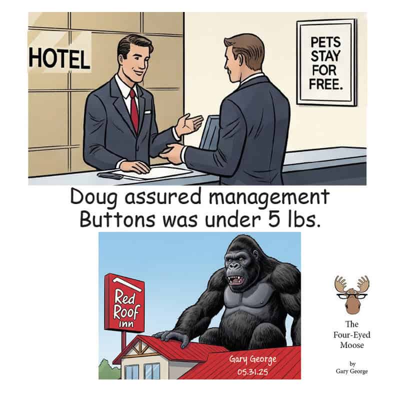 Comic strip with hotel reception and a gorilla at a restaurant.