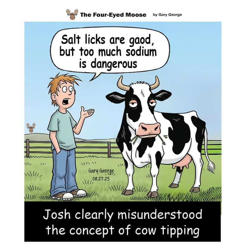 Boy explains salt is good but too much sodium is dangerous to a cow in a cartoon.