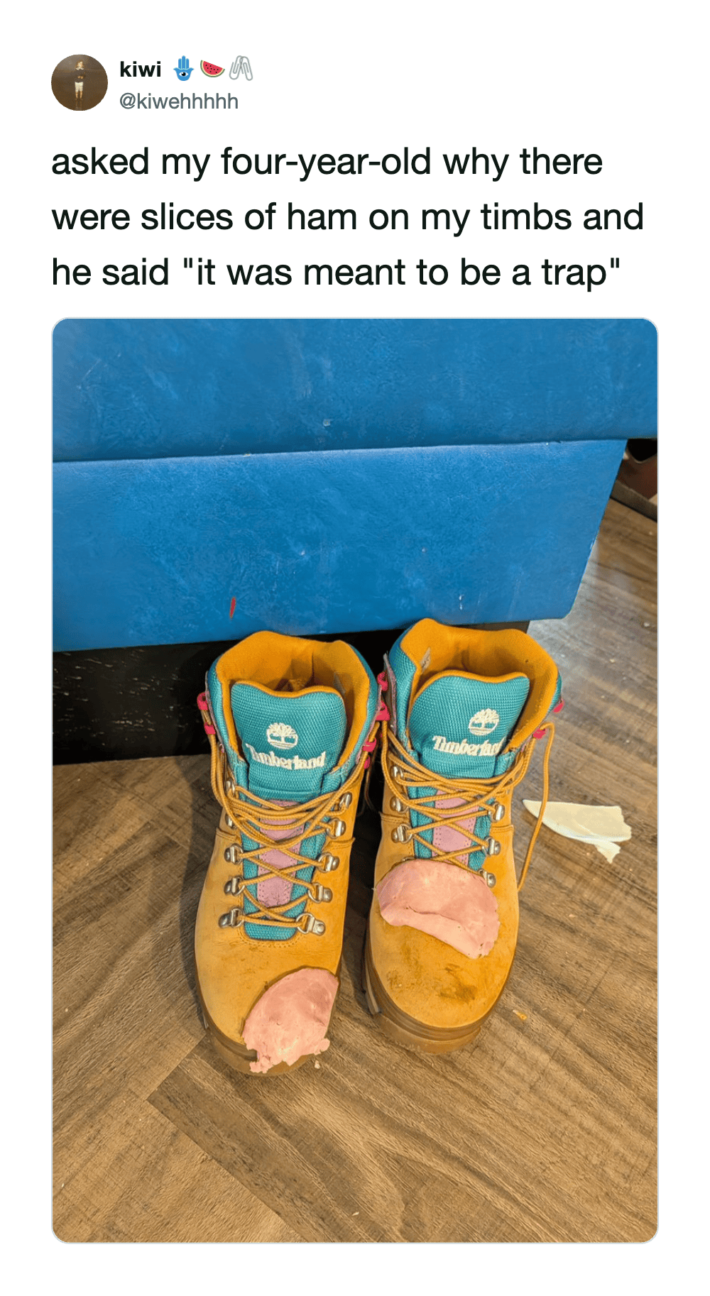 Humorous tweet about ham slices on a child's shoes with a blue couch in the background.