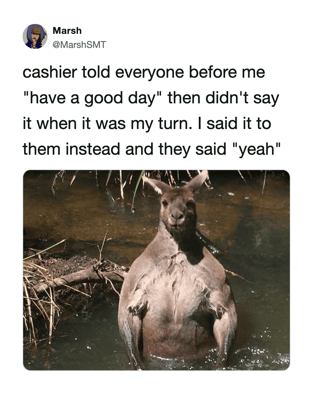 A capybara standing in water with a humorous caption about a cashier's comment.