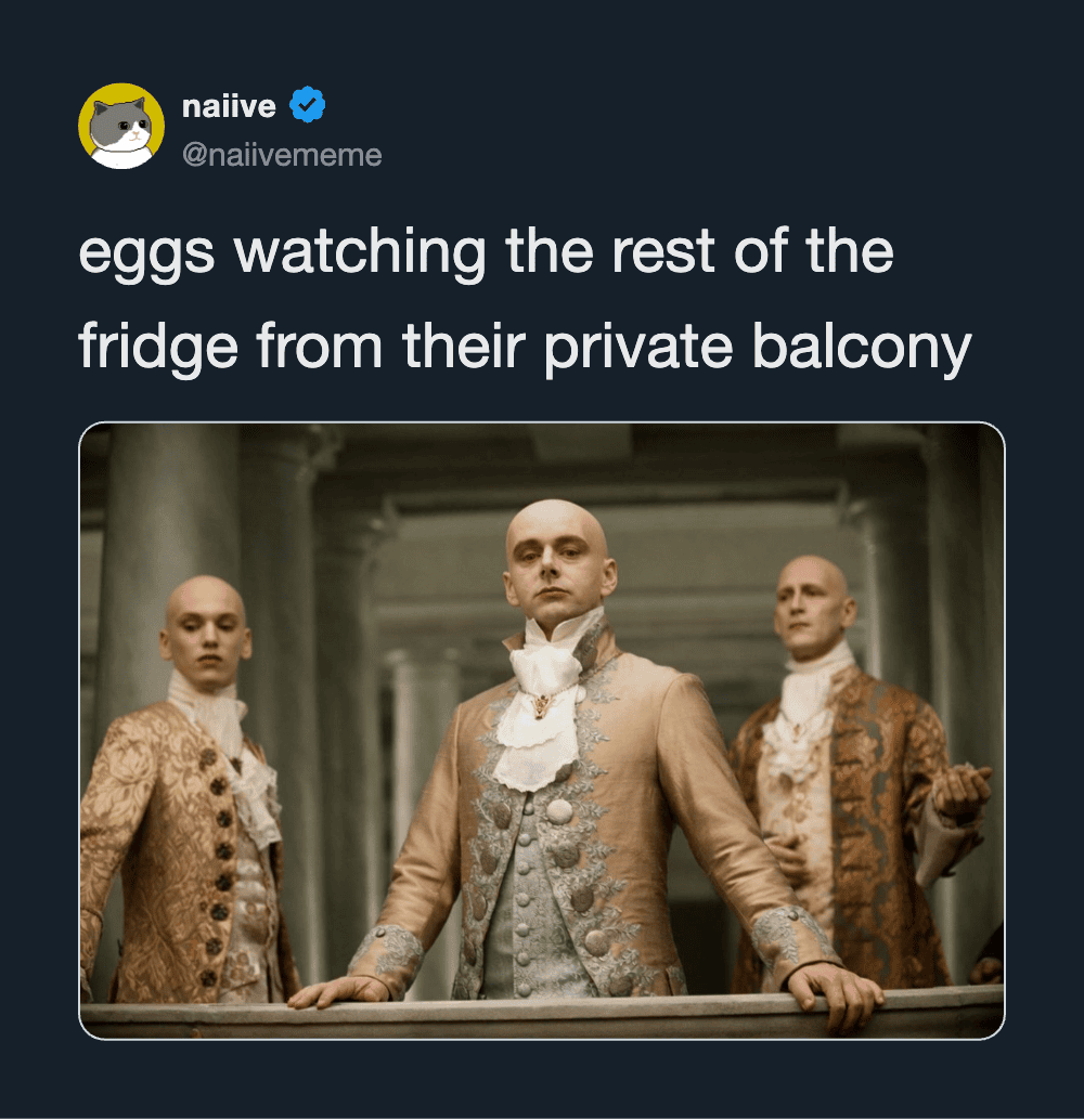 Eggs watching the rest of the fridge from their private balcony.