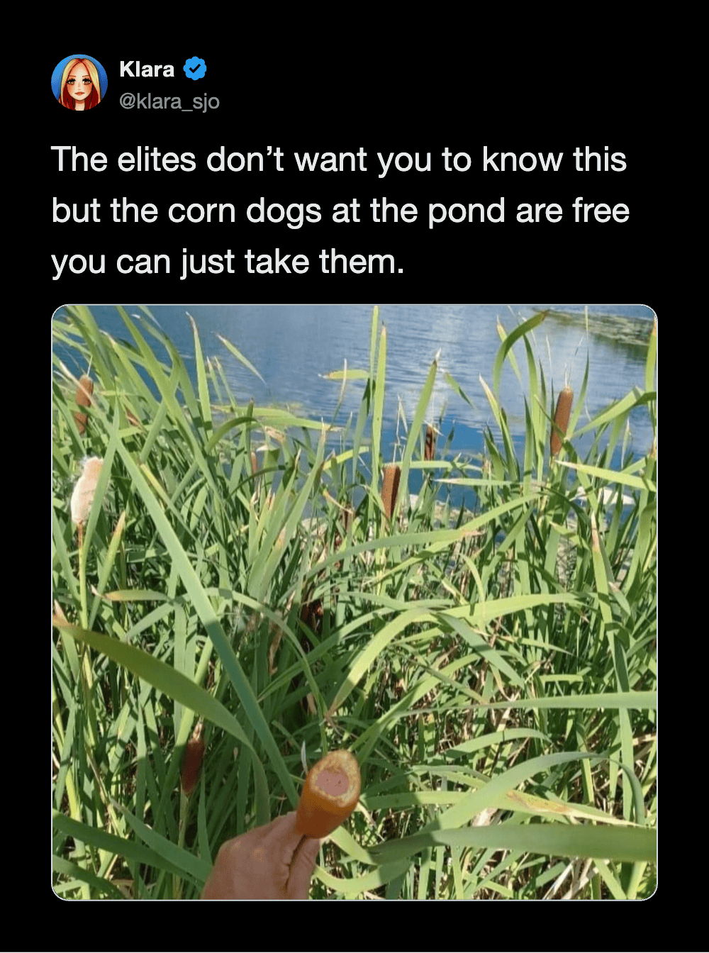 The elites don’t want you to know this but the corn dogs at the pond are free you can just take them.