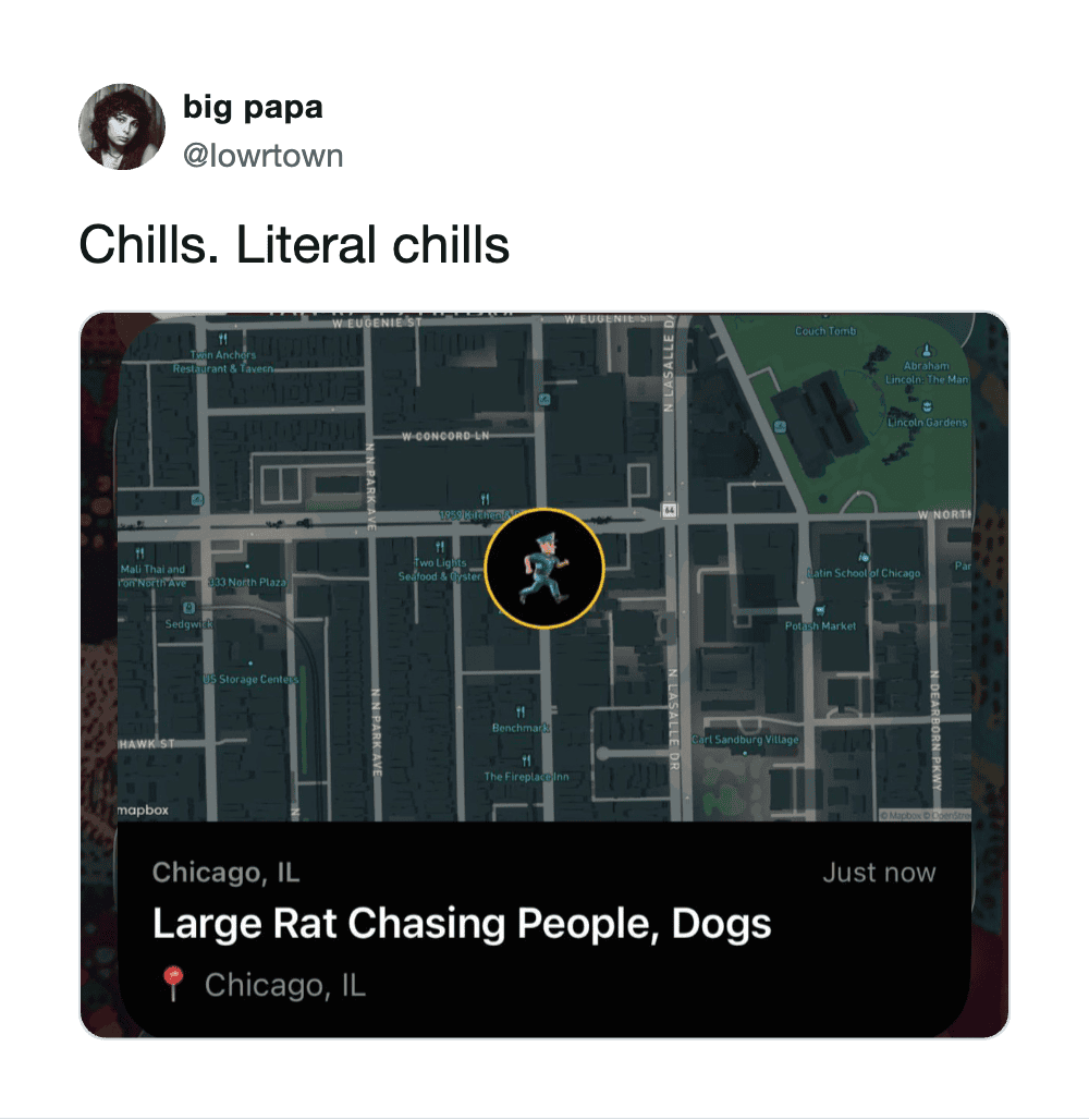 Big Papa's tweet about rat chasing people and dogs in Chicago.