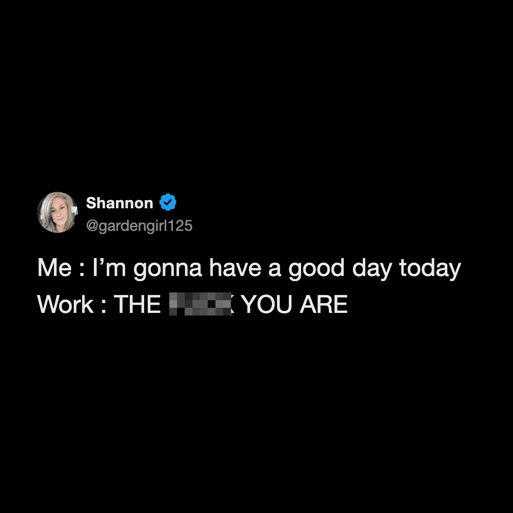 Social media post with text: Me: I'm gonna have a good day today. Work: THE [blurred] YOU ARE.