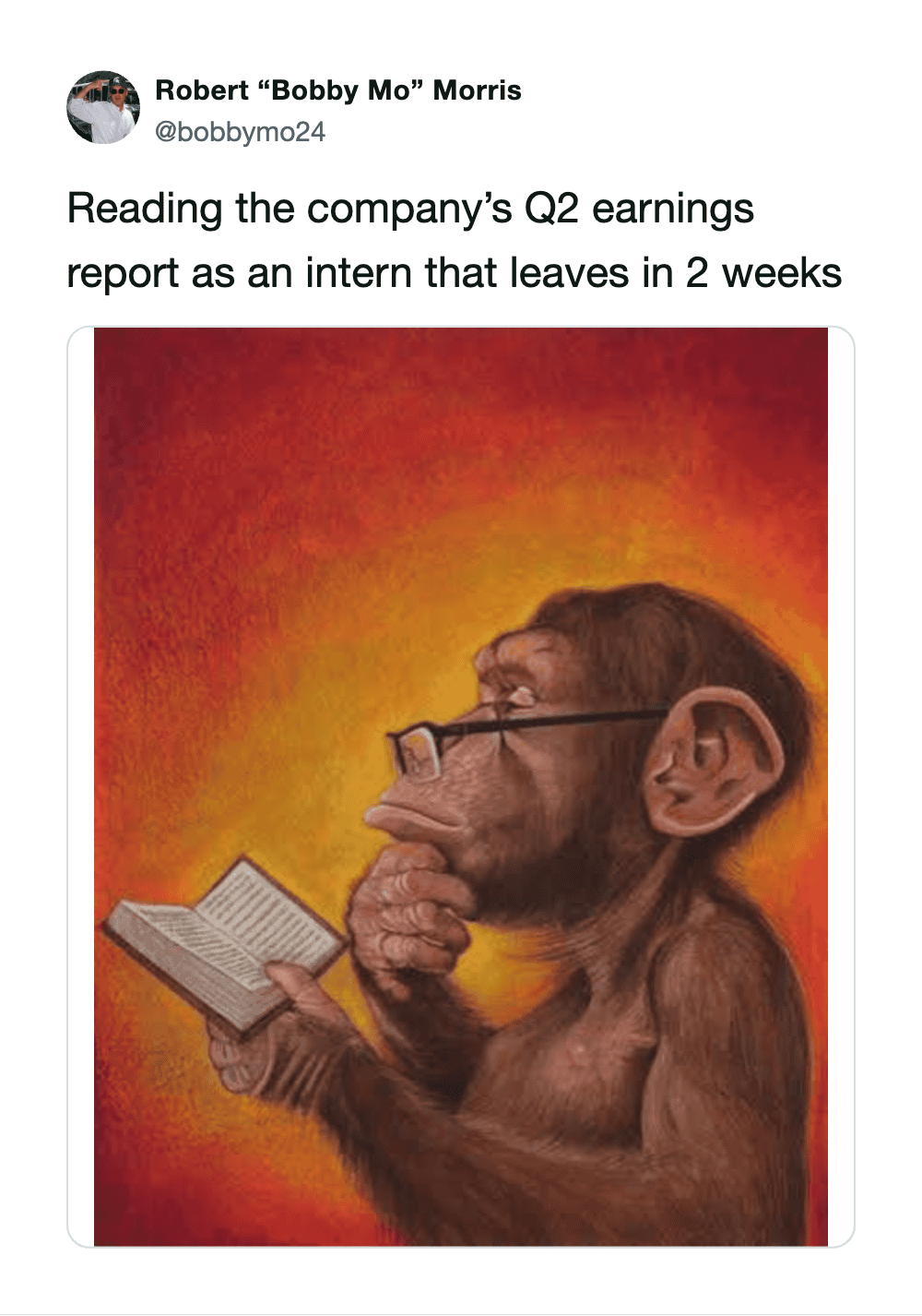 Humorous monkey reading a book with a thoughtful expression, in a colorful background.