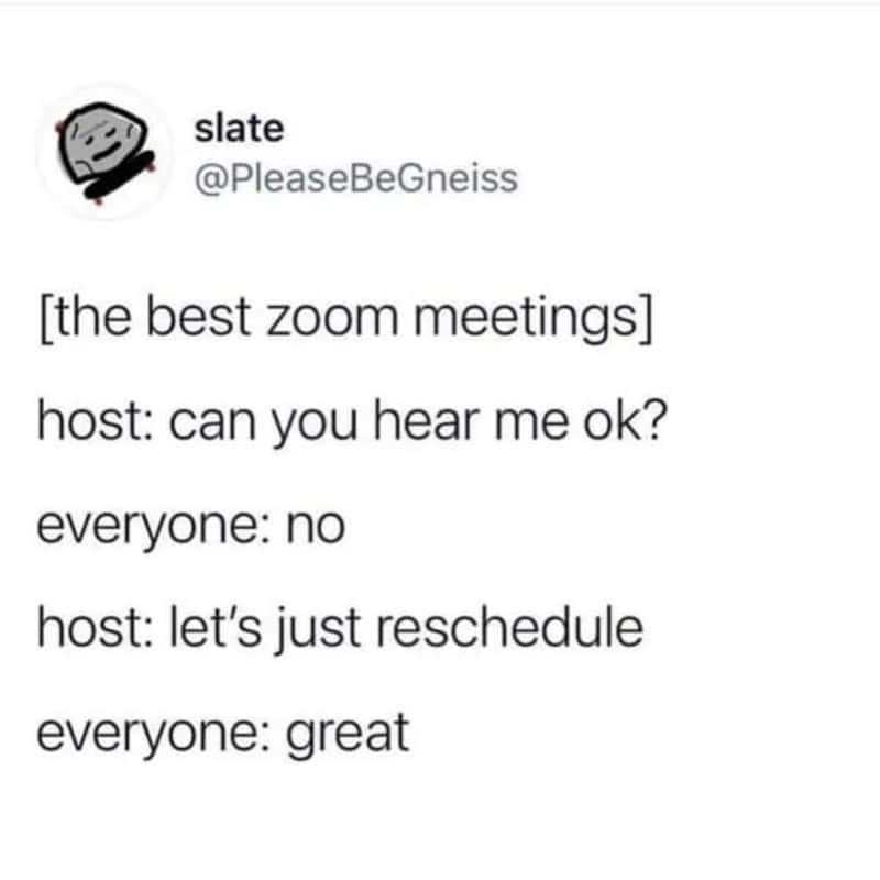 Zoom meeting chat about rescheduling due to audio issues.